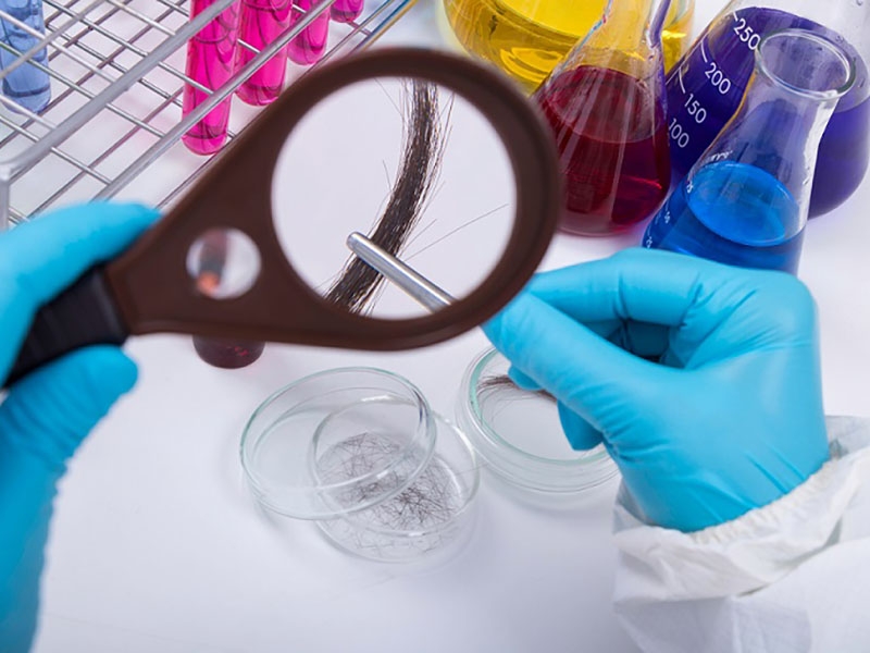Toxicological Examination
